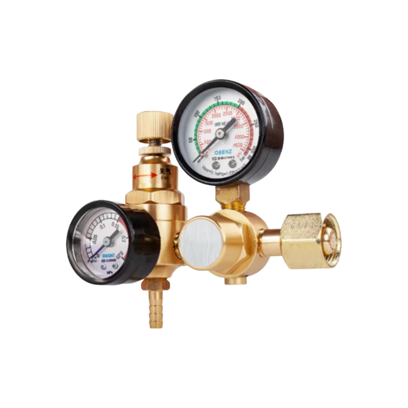 Argon Guard Regulator