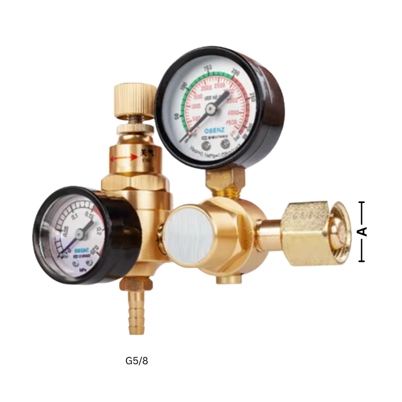 Argon Guard Regulator